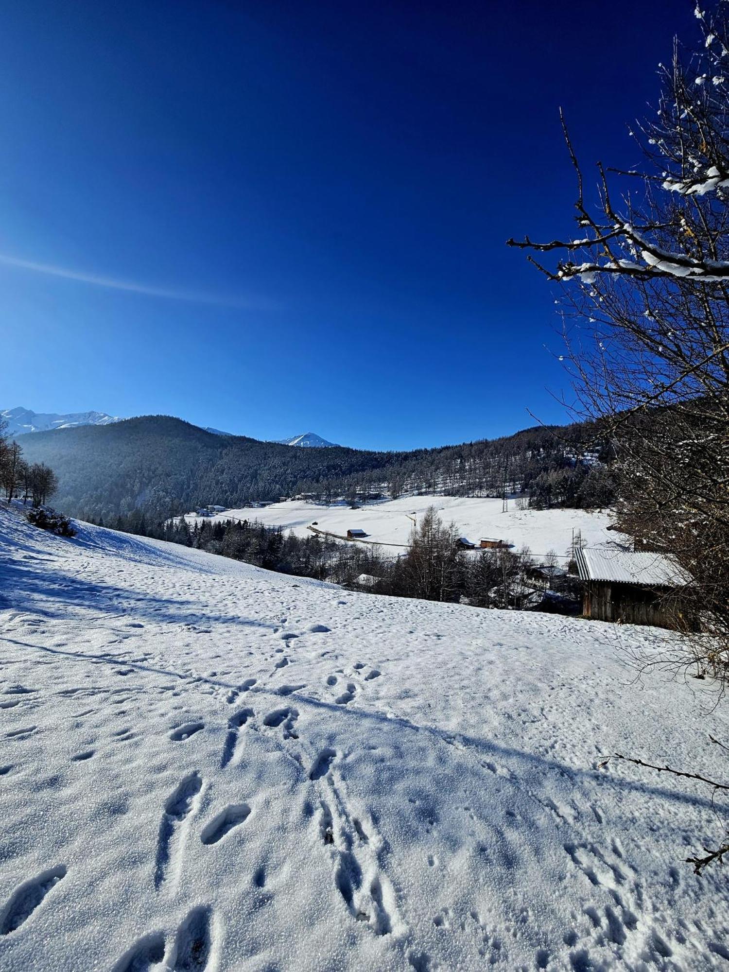 Ferienwohnung Haus Scholl Reith bei Seefeld Exteriör bild